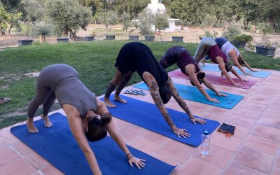 Sumérgete en la Transformación: Descubre los Innumerables Beneficios de los Retiros de Yoga